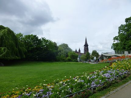 Freiburg im Breisgau fleurie