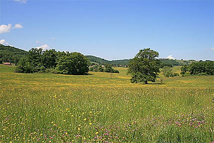 La campagne Corrézienne au printemps