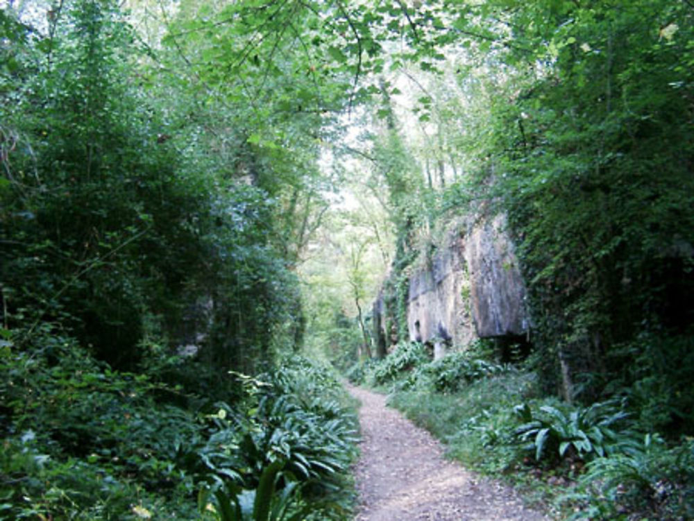 En chemin pour la carrière