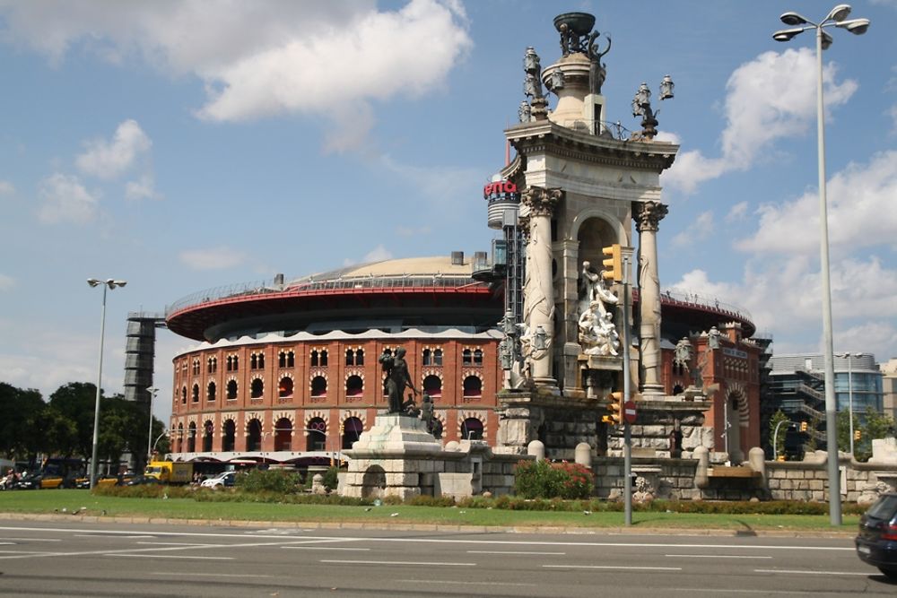 Toros Arenas