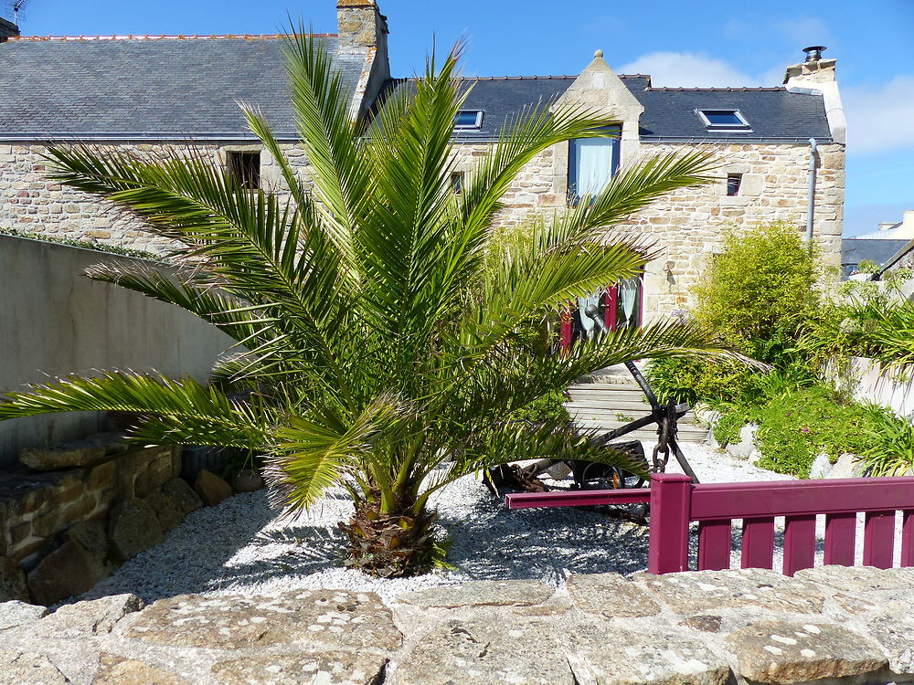 Petite maison au centre à Ouessant 