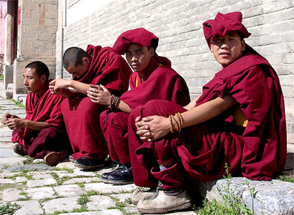 Moine au monastère de Kumbum