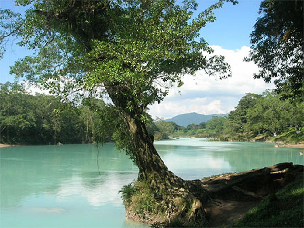 Calme à Agua Clara