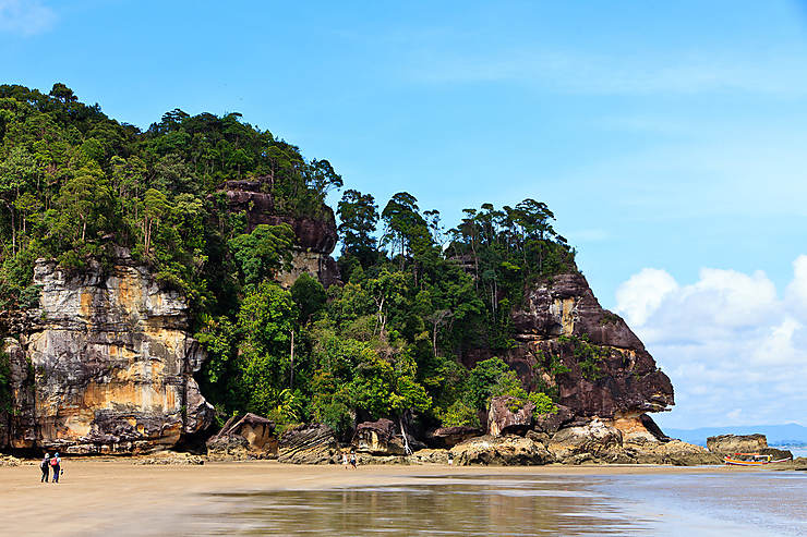 Parcs nationaux de Bako, Kubah et Tanjung Datu (Sarawak, Bornéo)