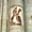 Notre-Dame de Cunault - Peintures
