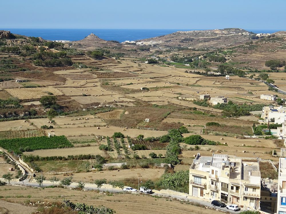 Gozo