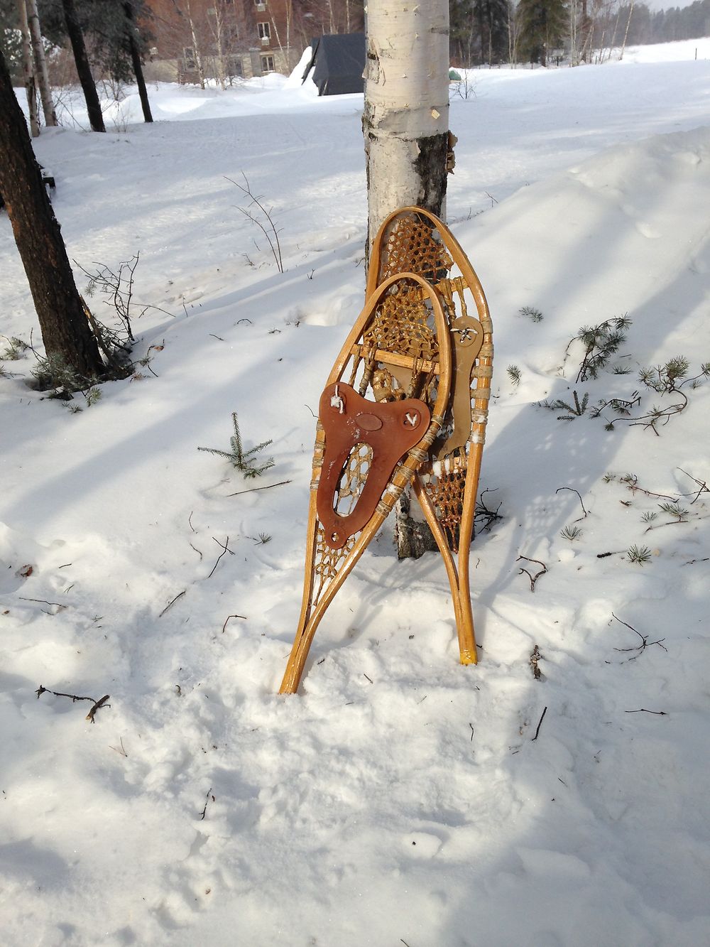 Fin d'une sortie en raquettes au lac Taureau 