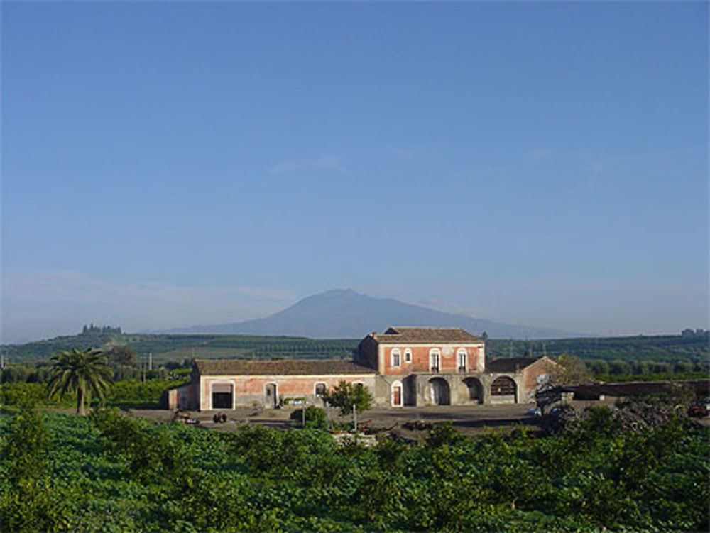 Masseria