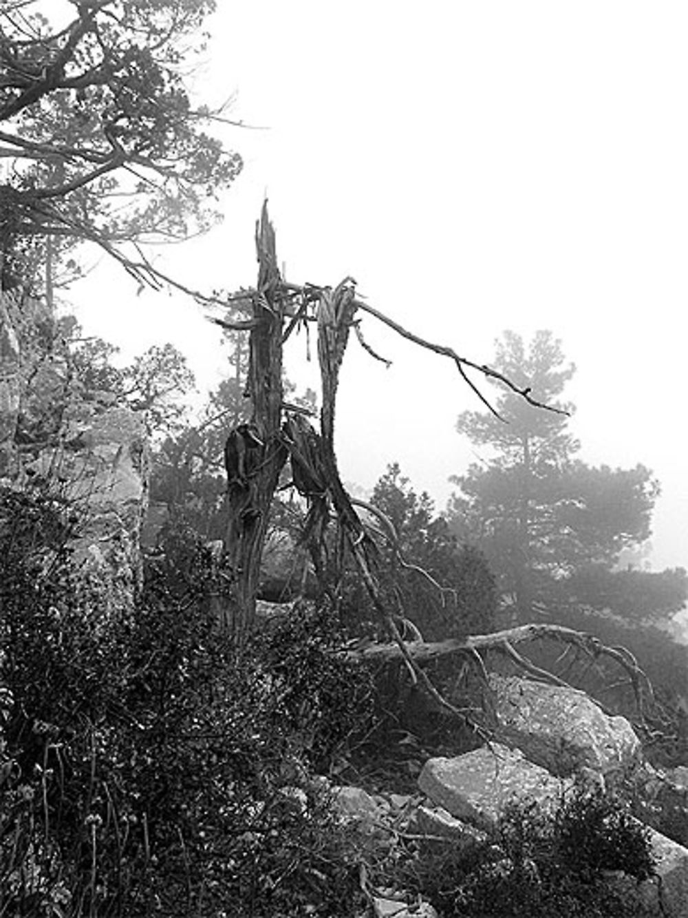 Paysages lugubre de la nécropole de Termessos