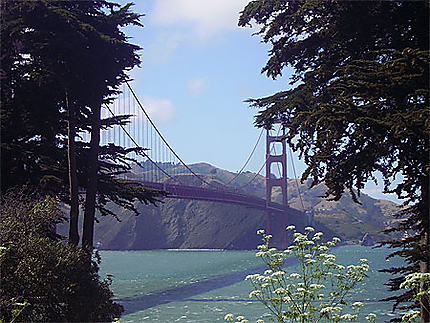 Golden Gates San Francisco