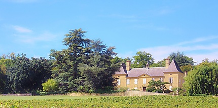 Château de Diusse 