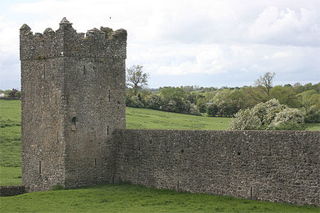 Prieuré de Kells (comté de Kilkenny)