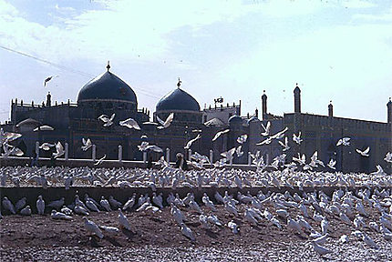 Mosquée Sanctuaire de Mazar-i-Charif