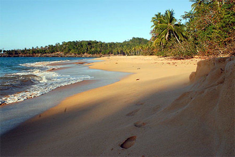 Plage de Coson Las terrenas 