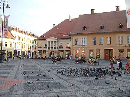 Sibiu