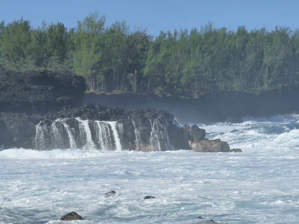 Entre mer et forêt