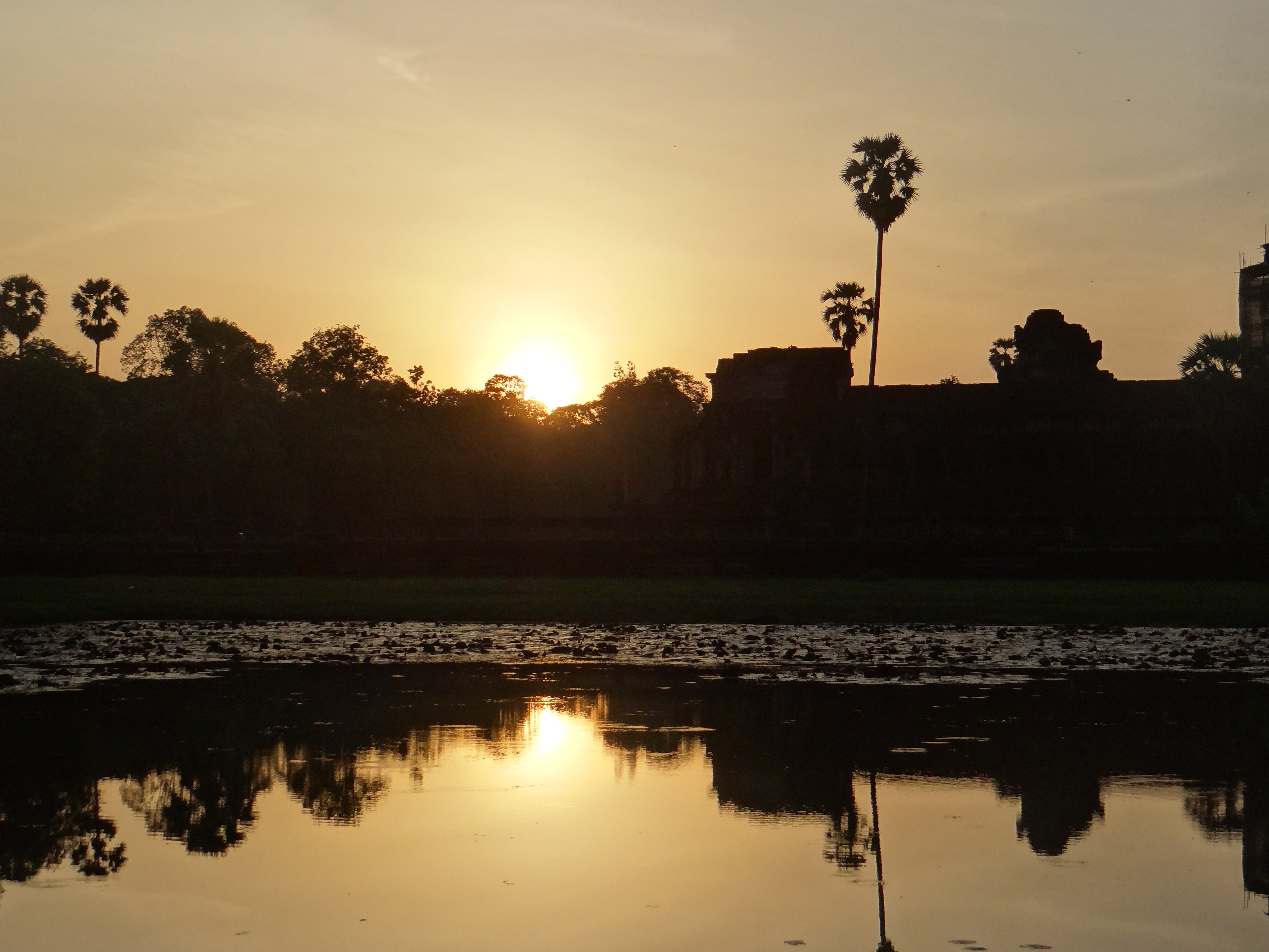 Lever De Soleil Sur Angkor Wat Au Cambodge Coucher De