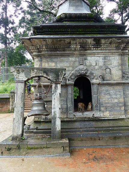 Pashupatinath, la cité mortuaire de Kathmandu