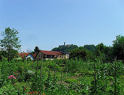 Jardins de Krakovo