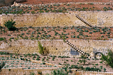 Culture en étages Culture en étages