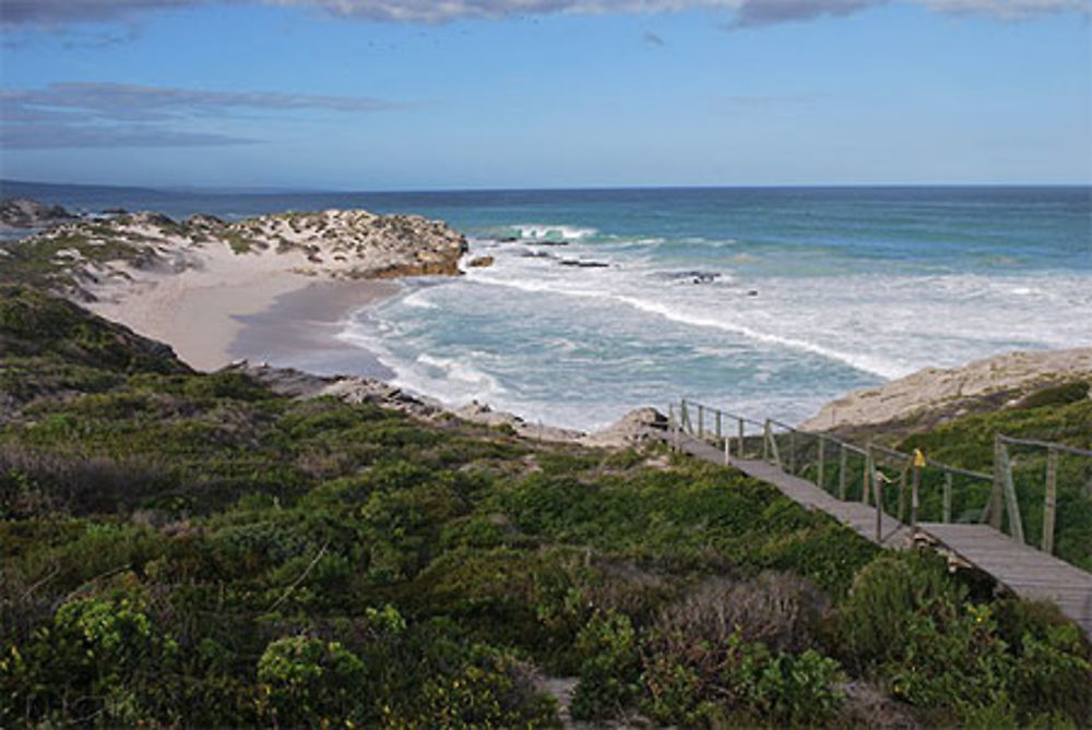 De Hoop Nature Reserve, Koppie Alleen