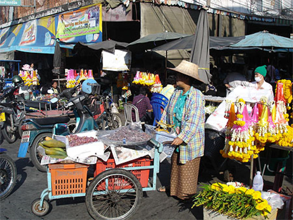 Couleurs du marché