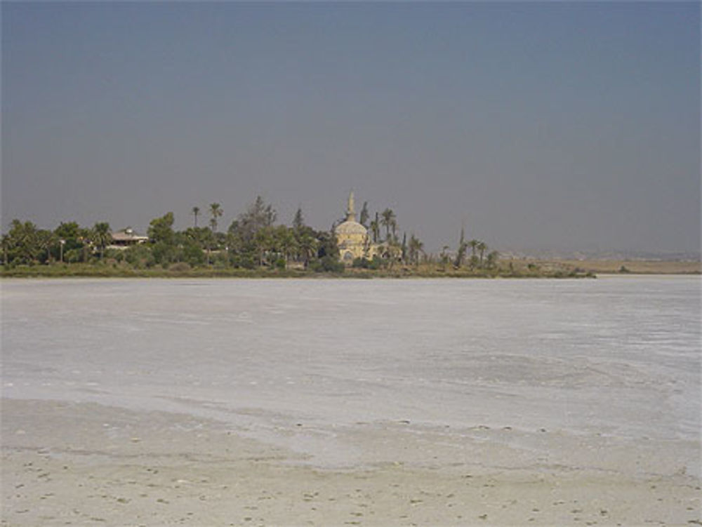 Le lac salé de Larnaca