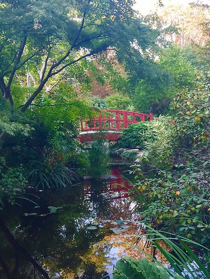 Petit pont japonais du jardin zen parc de l'amitié