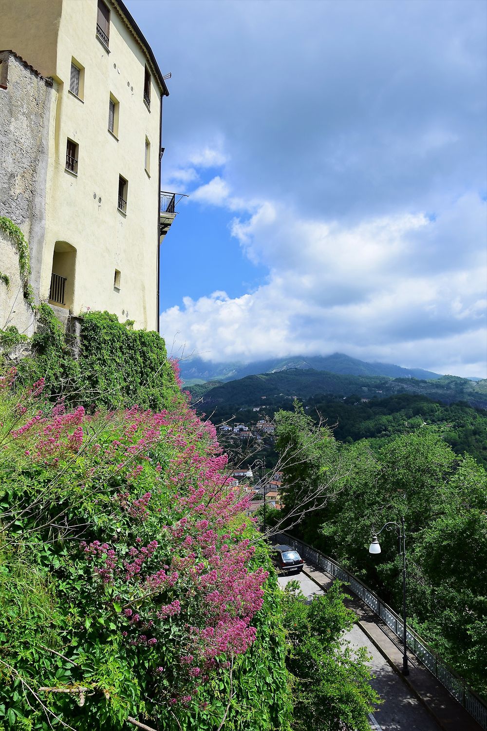 Les fleurs de Rivello