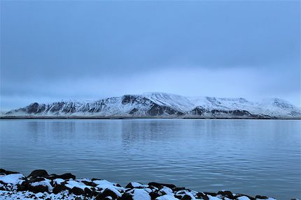 Reykjavík, vue du Port