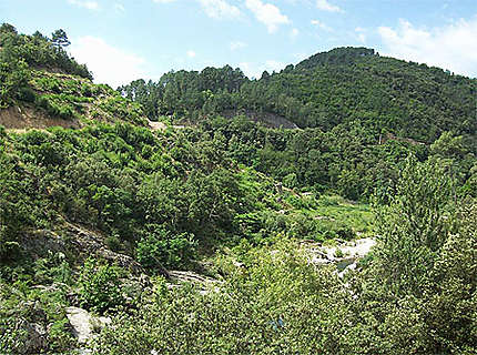 Dans les Cévennes