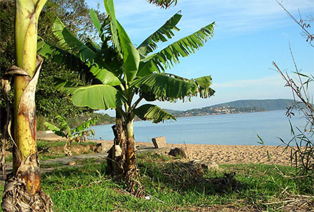 Plage d'Ipanema