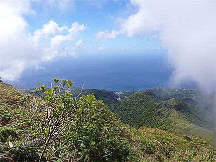 Vue sur la côte Est de l'île lors de l'ascension de la Montagne Pelée