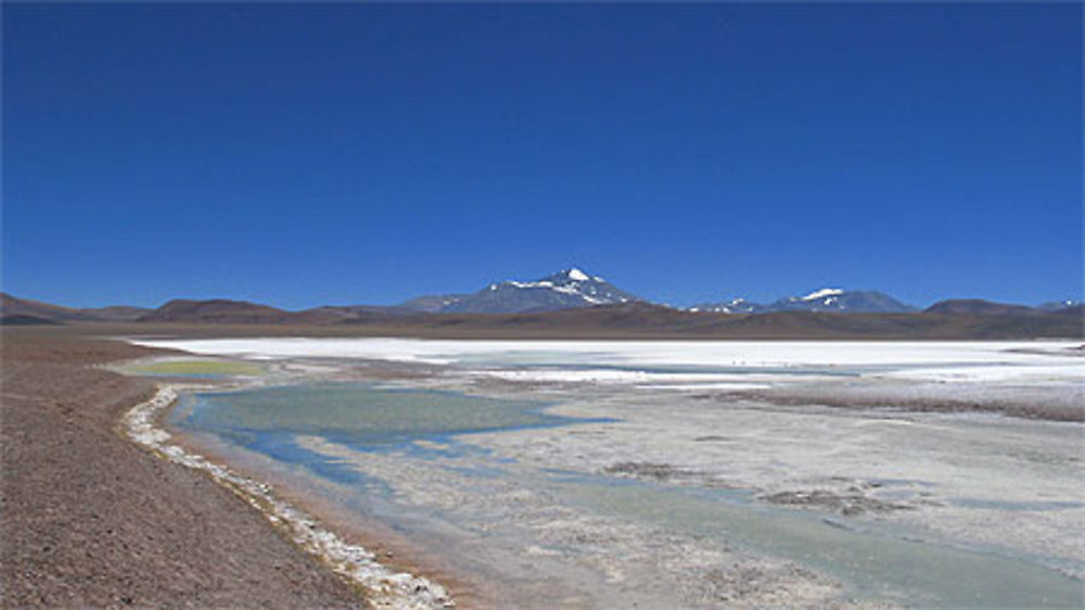 Laguna brava