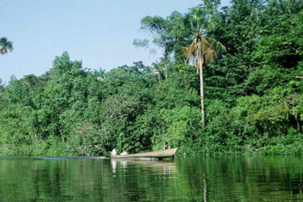 Pirogue sur l'Oyapock