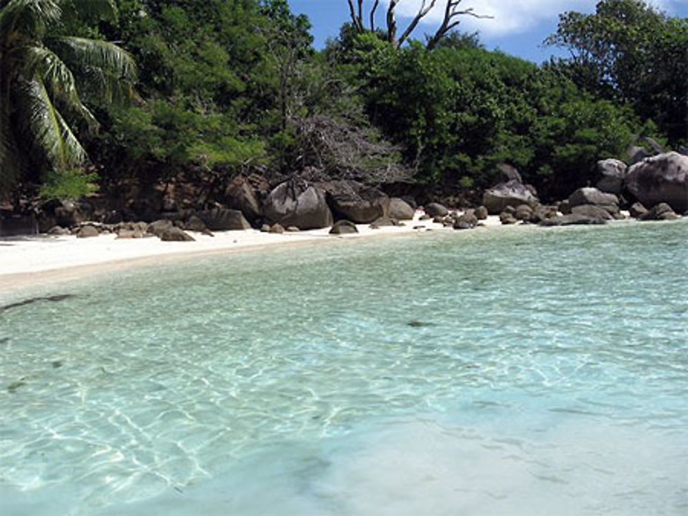 Plage île aux cerfs