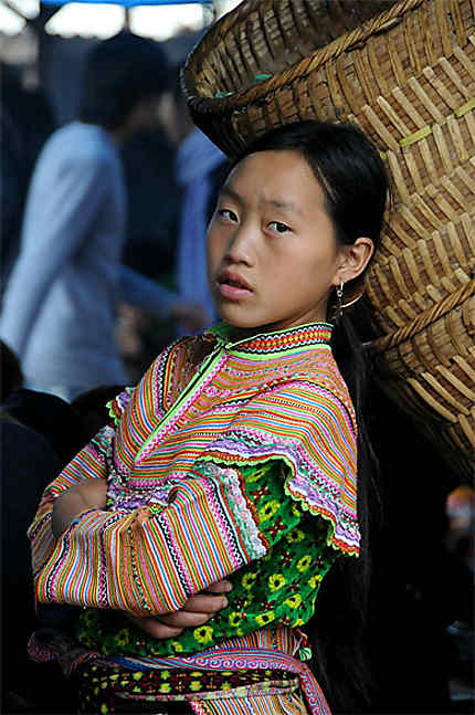Hmong fleur
