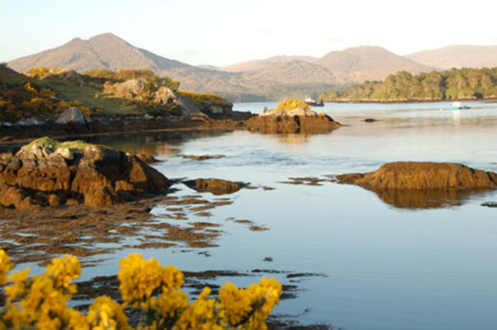 printemps à Kenmare