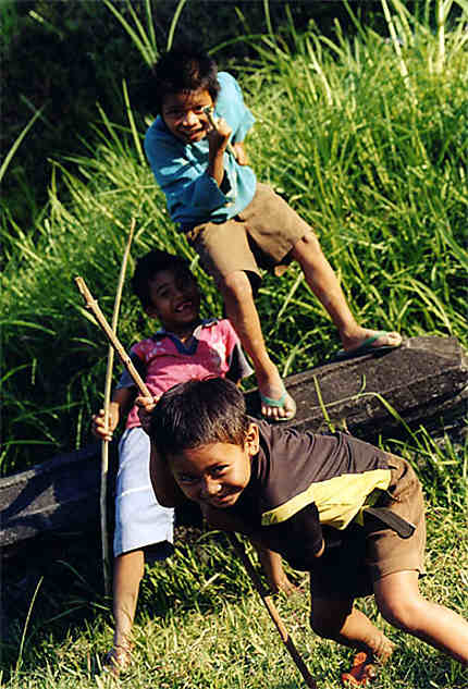 Enfants qui jouent dans les rizières