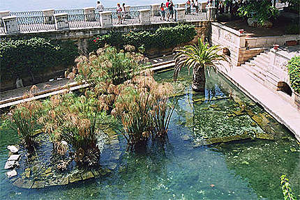 Syracuse fontaine d'Ortygie