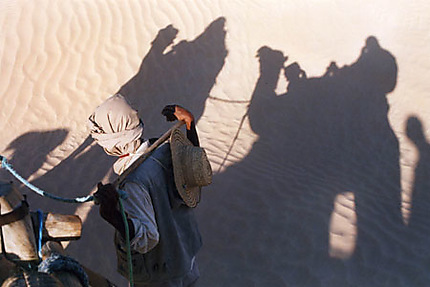 Les ombres du désert