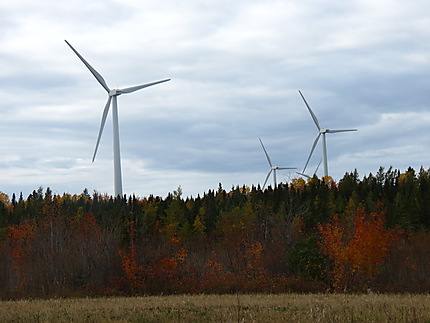 Éoliennes à Baie-des-Sables