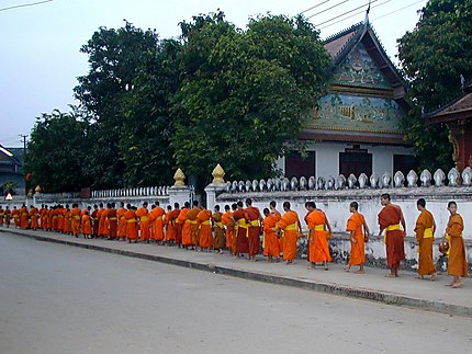 Moines bouddhistes au petit matin à Luang Prabang