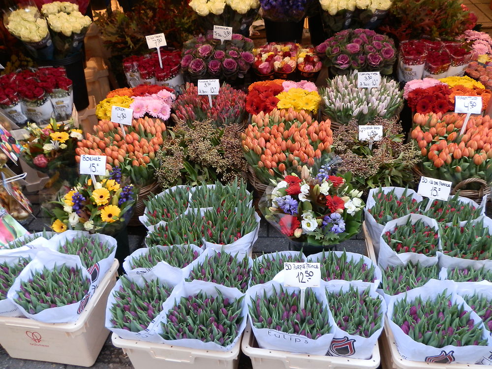 MARCHE AUX FLEURS