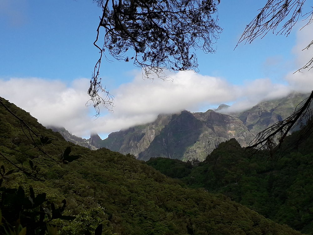 Paysage à Portela