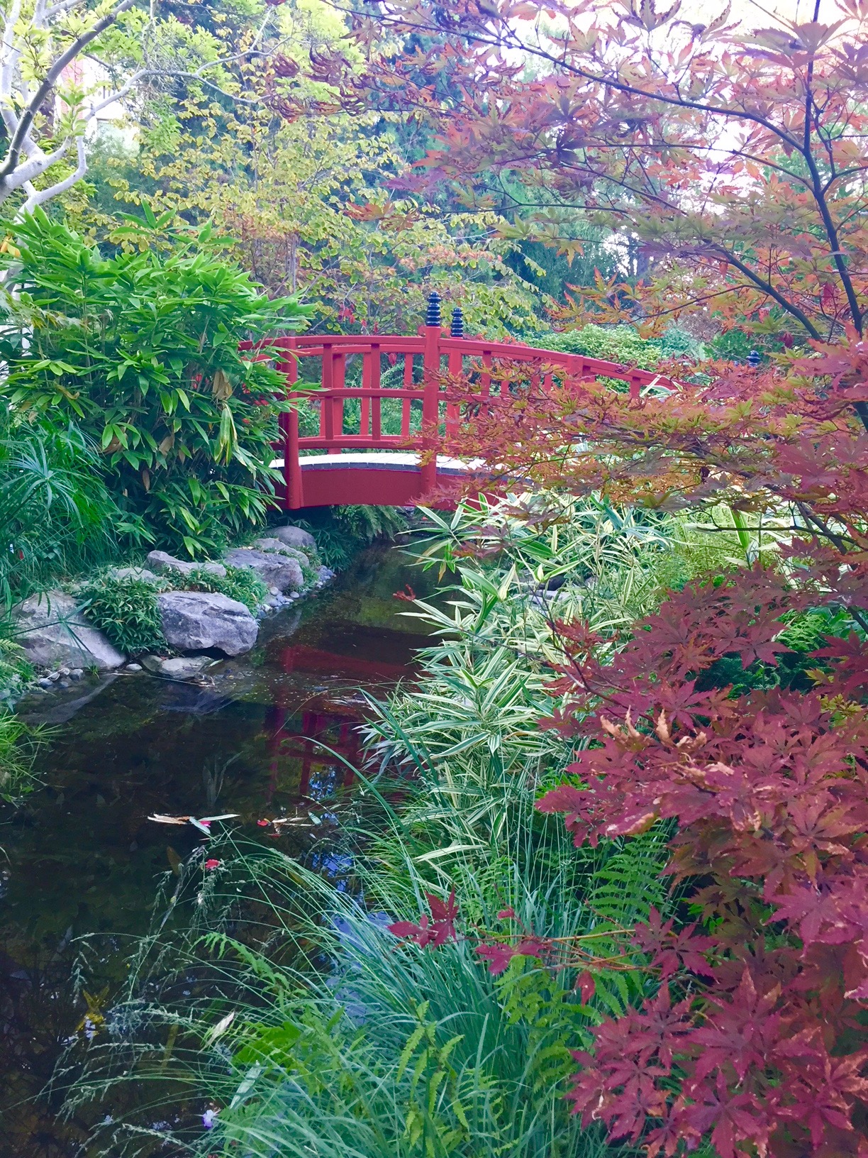 Le petit pont du jardin zen, à Rueil-Malmaison
