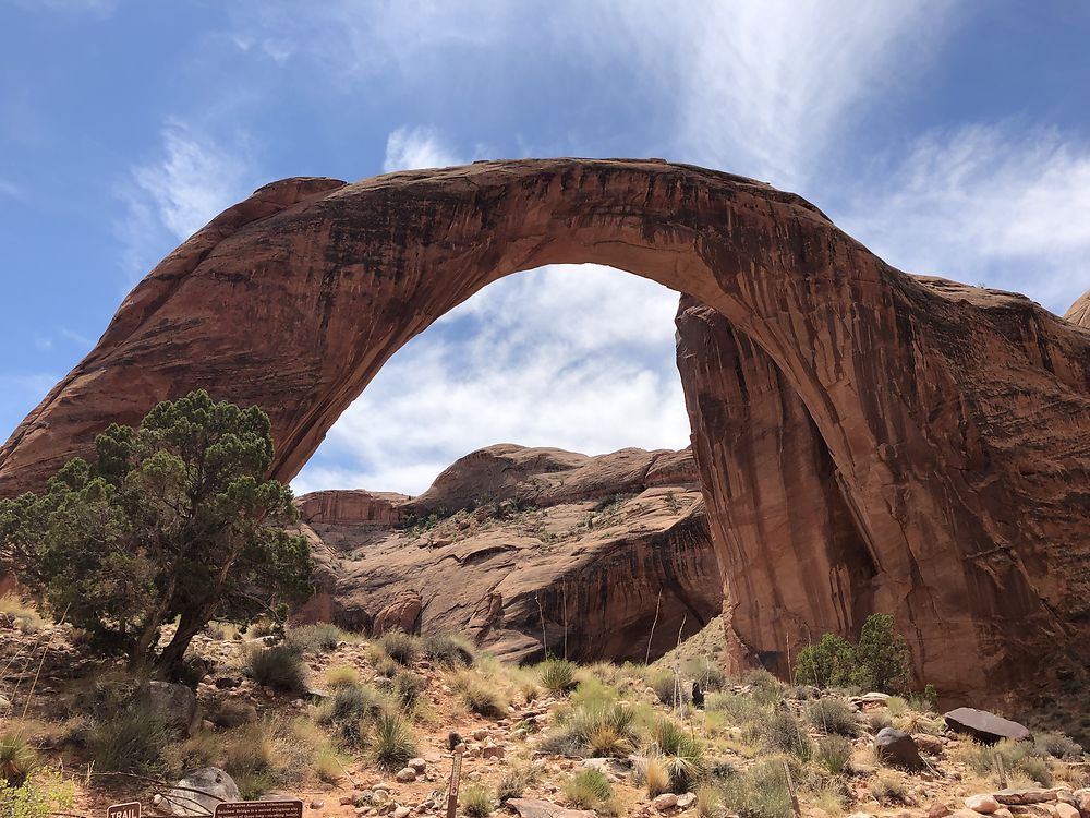 Rainbow Arch