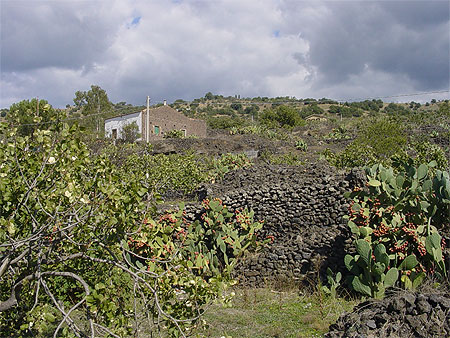 Paysage de Bronte Paysage de Bronte