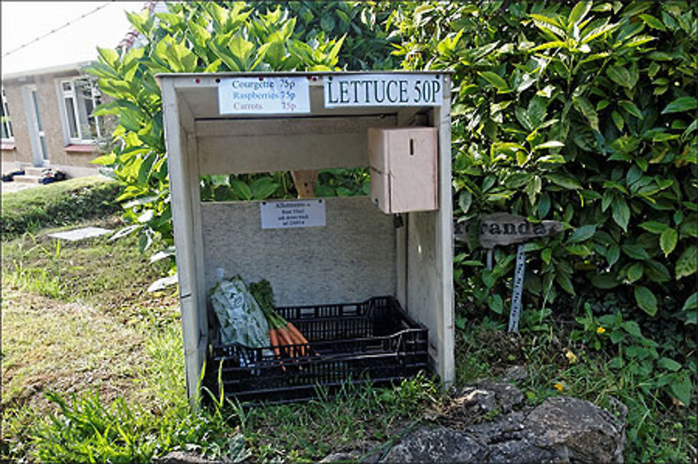 Légumes