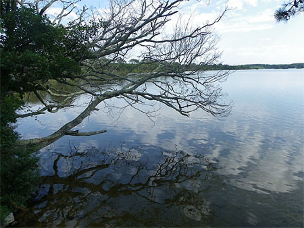 Lac blanc Seignosse